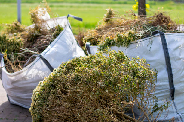 Best Office Cleanout  in Alliance, OH